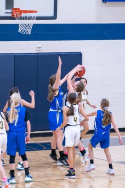 Lynx-Game-5-39-of-73