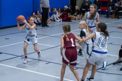 Lynx-Game-7-10-of-83