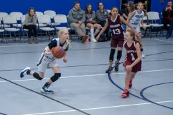 Lynx-Game-7-11-of-83