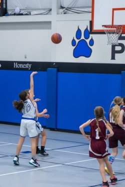 Lynx-Game-7-17-of-83