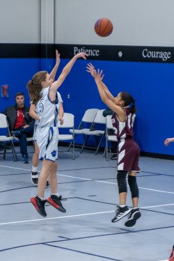 Lynx-Game-7-28-of-83