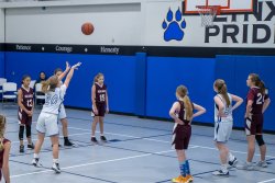 Lynx-Game-7-30-of-83