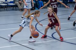 Lynx-Game-7-32-of-83