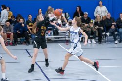 Lynx-Game-9-10-of-64