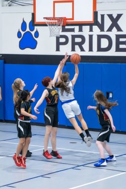 Lynx-Game-9-14-of-64