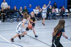 Lynx-Game-9-15-of-64