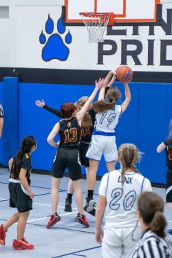 Lynx-Game-9-16-of-64