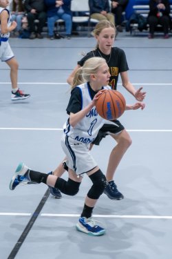 Lynx-Game-9-17-of-64