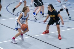 Lynx-Game-9-20-of-64