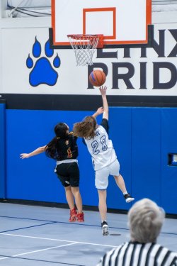 Lynx-Game-9-28-of-64