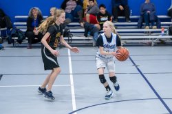 Lynx-Game-9-33-of-64