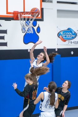 Lynx-Game-9-35-of-64