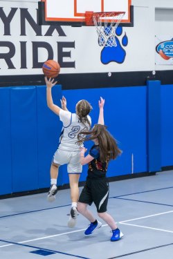 Lynx-Game-9-38-of-64