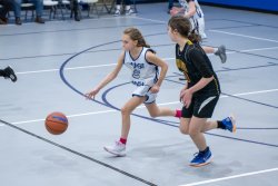 Lynx-Game-9-39-of-64