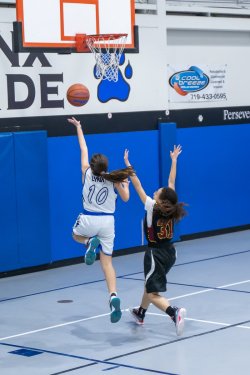 Lynx-Game-9-45-of-64