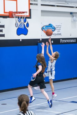Lynx-Game-9-46-of-64