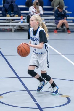 Lynx-Game-9-49-of-64