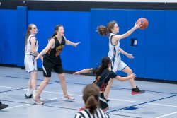 Lynx-Game-9-50-of-64