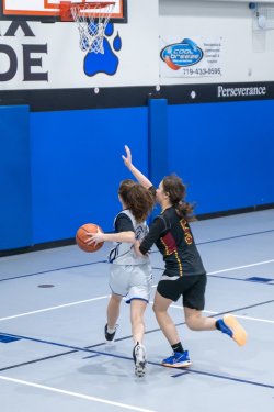 Lynx-Game-9-53-of-64