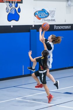 Lynx-Game-9-61-of-64