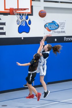 Lynx-Game-9-62-of-64