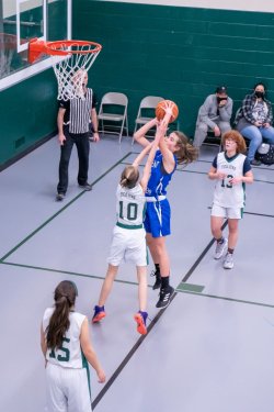 Lynx-Game-10-14-of-51