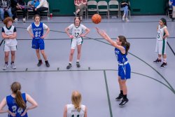 Lynx-Game-10-20-of-51