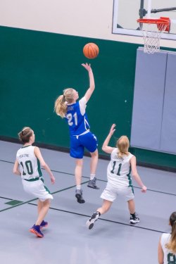 Lynx-Game-10-29-of-51