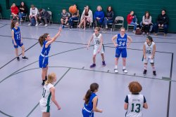 Lynx-Game-10-44-of-51