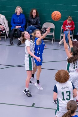 Lynx-Game-10-50-of-51