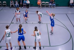 Lynx-Game-10-8-of-51