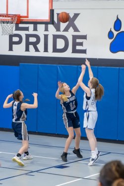 Lynx-Playoff-Game-13-of-58