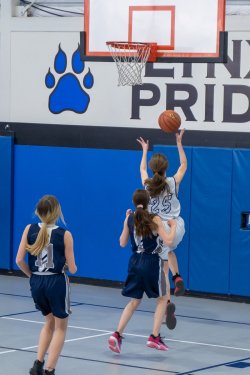 Lynx-Playoff-Game-16-of-58