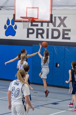 Lynx-Playoff-Game-22-of-58