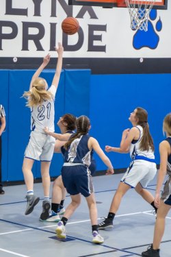 Lynx-Playoff-Game-31-of-58