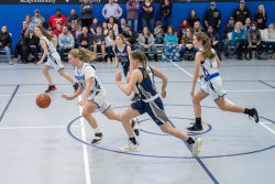 Lynx-Playoff-Game-37-of-58