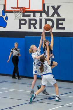 Lynx-Playoff-Game-39-of-58