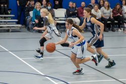 Lynx-Playoff-Game-41-of-58