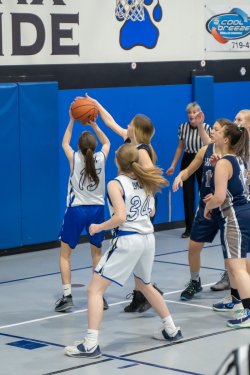 Lynx-Playoff-Game-46-of-58