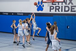 Lynx-Playoff-Game-5-of-58