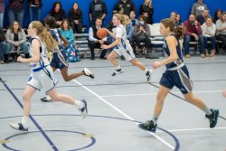 Lynx-Playoff-Game-50-of-58