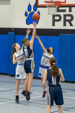 Lynx-Playoff-Game-55-of-58