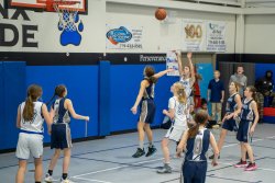 Lynx-Playoff-Game-56-of-58