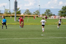 Copa-08G-Presidents-Cup-Game-3-5-of-95