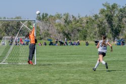 Copa-08G-Presidents-Cup-Game-4-50-of-116
