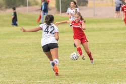 Copa-08G-Arsenal-Challenge-Game-2-22-of-60