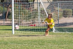 Copa-08G-Arsenal-Challenge-Game-4-35-of-95