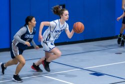 Lynx-Game-1-16-of-67