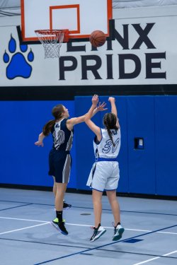 Lynx-Game-1-18-of-67