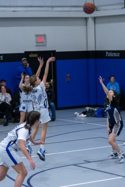 Lynx-Game-1-19-of-67